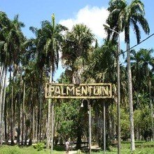 Пальмовый сад «Palmentuin»