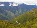 Юнгас - влажные горные леса Боливии: фото 1