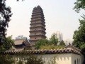 Пагода Большого дикого гуся: фото 2