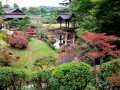 Экскурсионно-гастрономический тур по Японии: фото 10