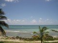 Гранд Багама. Национальный парк Лукаян и пляж Голд Рок: фото 11