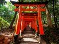 Экскурсионно-гастрономический тур по Японии: фото 102