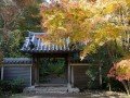 Экскурсионно-гастрономический тур по Японии: фото 11