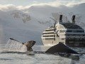 Круиз в Антарктиду на мега-яхте «Le Boreal»: фото 3