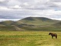 Путешествие в Монголию: фото 2