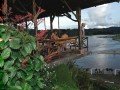 Джунгли Амазонии в La Casa del Suizo: фото 12