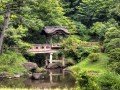 Экскурсионно-гастрономический тур по Японии: фото 12