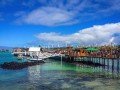 Яхта Исабела II. Южные Галапагосские острова: фото 13
