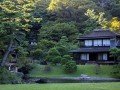 Экскурсионно-гастрономический тур по Японии: фото 13