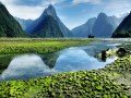 Знакомство с Новой Зеландией: фото 13