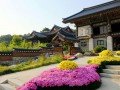 Страна сияющего счастья (Южная Корея): фото 16