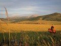 Путешествие в Монголию: фото 5