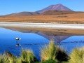 За гранью реального: Чили – Боливия – Перу: фото 31