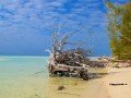 Гранд Багама. Национальный парк Лукаян и пляж Голд Рок: фото 17