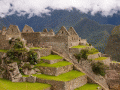 Перу Эконом: фото 17