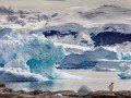 Двухдневный тур в Антарктиду!: фото 2