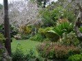 Ботанические сады «Андромеда»: фото 2