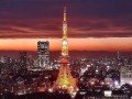 Экскурсионно-гастрономический тур по Японии: фото 2