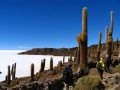 Боливия. Солончак Уюни. От Пуно до Атакамы: фото 21