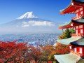 Экскурсионно-гастрономический тур по Японии: фото 23