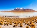 Боливия. Солончак Уюни. От Пуно до Атакамы: фото 22