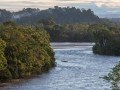 Джунгли Амазонии в La Casa del Suizo: фото 28
