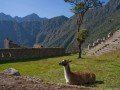 Перу - Чили: фото 31