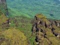 Национальный парк Канайма и полет над водопадом Анхель: фото 3