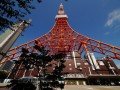 Экскурсионно-гастрономический тур по Японии: фото 3
