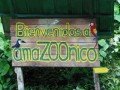Джунгли Амазонии в La Casa del Suizo: фото 31