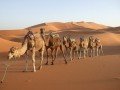 Мятная охра Марокко: фото 34