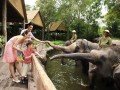 Сингапурский зоопарк: фото 2
