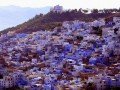 Мятная охра Марокко: фото 41