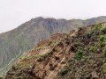Экскурсия по Священной долине Инков: фото 6