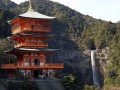 Экскурсионно-гастрономический тур по Японии: фото 48