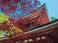 Экскурсионно-гастрономический тур по Японии: фото 49