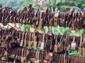 Шелковые свитки Поднебесной (Южный Китай): фото 25