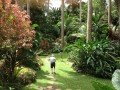 Ботанические сады «Андромеда»: фото 5