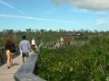 Гранд Багама. Национальный парк Лукаян и пляж Голд Рок: фото 5