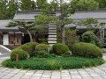 Экскурсионно-гастрономический тур по Японии: фото 51