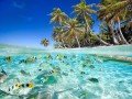 Достопримечательности Сейшельских островов: фото 3