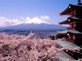 Отдых в Японии: фото 1