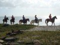 Прогулка верхом на лошадях (от 10 лет): фото 1