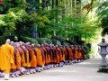 Экскурсионно-гастрономический тур по Японии: фото 59