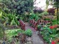 Ботанические сады «Андромеда»: фото 6