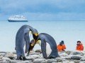 Экспедиционный круиз в Антарктику на т/х «Ocean Endeavour»: фото 6
