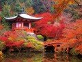 Экскурсионно-гастрономический тур по Японии: фото 66