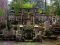 Экскурсионно-гастрономический тур по Японии: фото 67