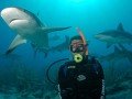 Нассау. Снорклинг с акулами: фото 8