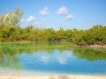 Гранд Багама. Национальный парк Лукаян и пляж Голд Рок: фото 7